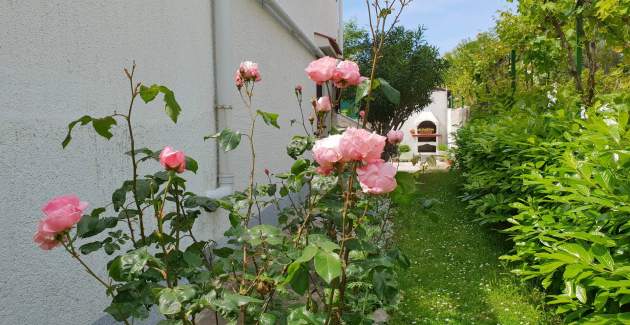 Apartment Bijelic A2 – no AC