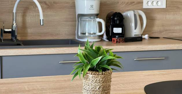 Luxury Apartment Bonum 1 – Sea View & Balcony