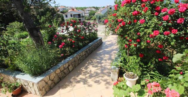 Apartment Dragica A2 – Sea View and Balcony