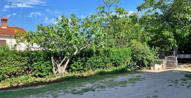 Apartment Gordana – 270 m from the Sea