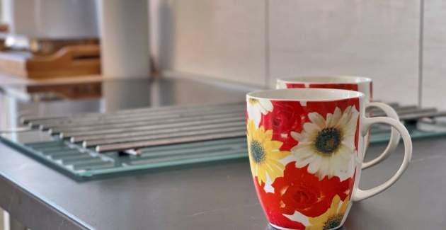 Apartment Gorisek 1 – Seafront, Sea View