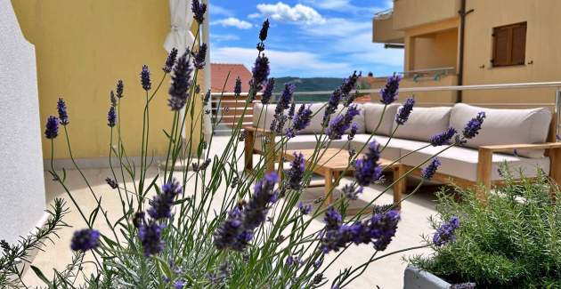 Apartment Pinta de Sol 3 – Sea View & Pet-Friendly