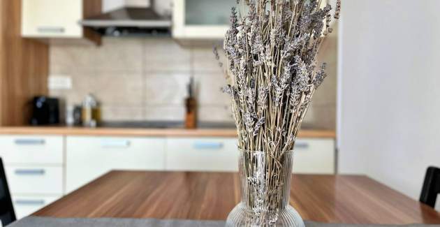 Apartment Pinta de Sol 6 – Sea View, Pet-Friendly