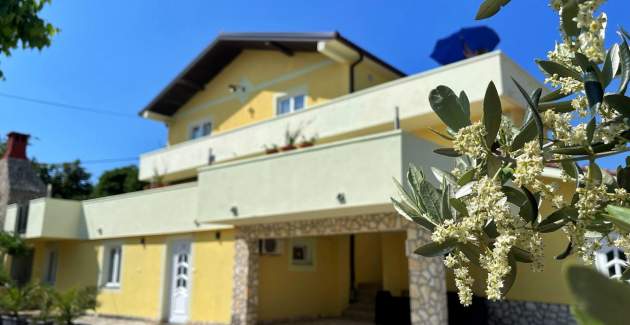 Top Apartment 1 – Pet- and Wheelchair-Friendly