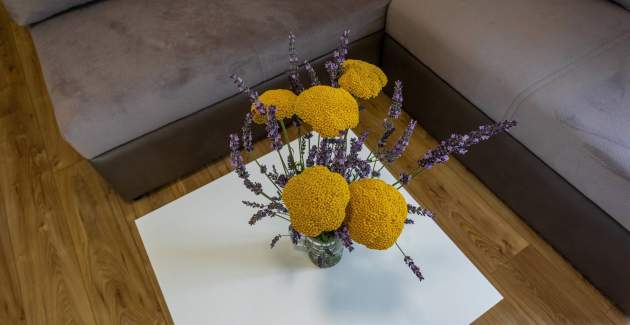 Apartman Berisha 2 br.4 - s terasom