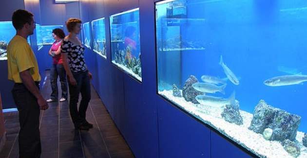 Charming Apartment Brnic No.7 - with Balcony and Sea View