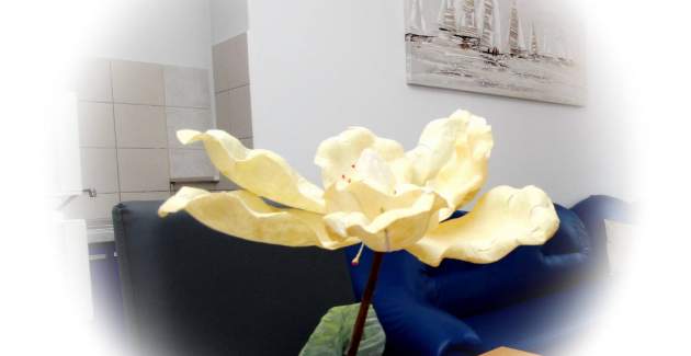 Charming Apartment Brnic No.5 - with Balcony