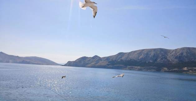 Studio Apartment Mihovil - near the Beach, with Sea View