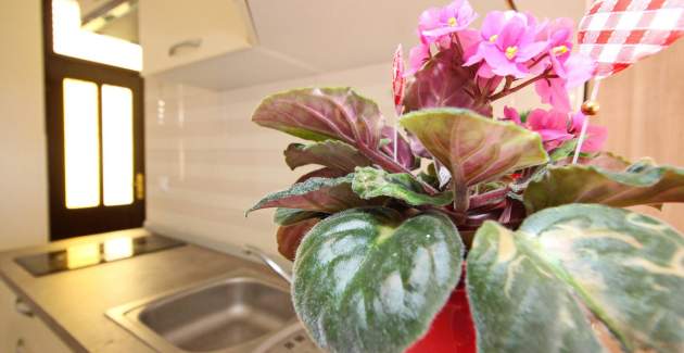 Studio Apartment Mihovil - near the Beach, with Sea View