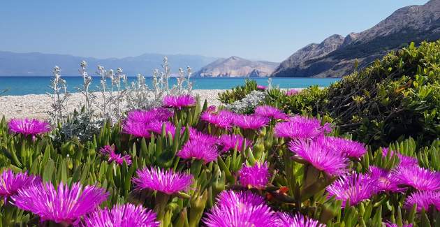 Studio apartman Rozman Beach - blizu plaže, s terasom