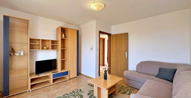 Apartment Pavle 2 – Pet-Friendly, Sea View