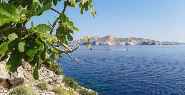 Apartment Garden No.3 - with Pool, for 4-5 Persons