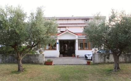 Apartments Petrica - just a 20-minute walk from the Beach